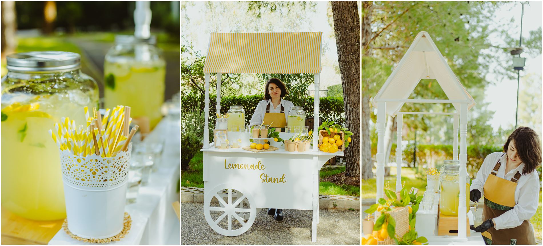 Lemonade Bar - Stand